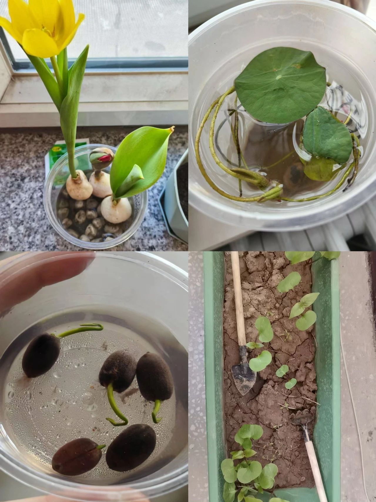 微信图片_20250430095026.jpg 微信图片_20250430095026.jpg