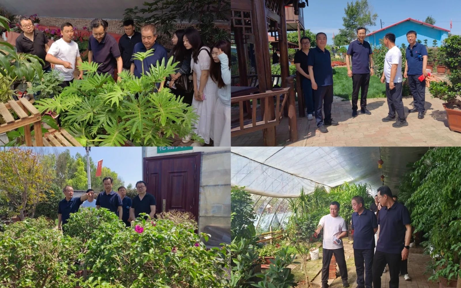 微信图片_20250613215833.jpg 微信图片_20250613215833.jpg